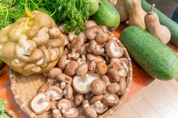 Thermomix TM7 Tartı Fonksiyonu Nasıl Kullanılır?